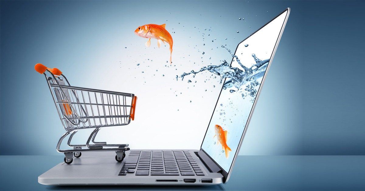 5 things to consider when developing a web-shop solution