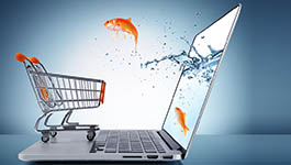 5 things to consider when developing a web-shop solution